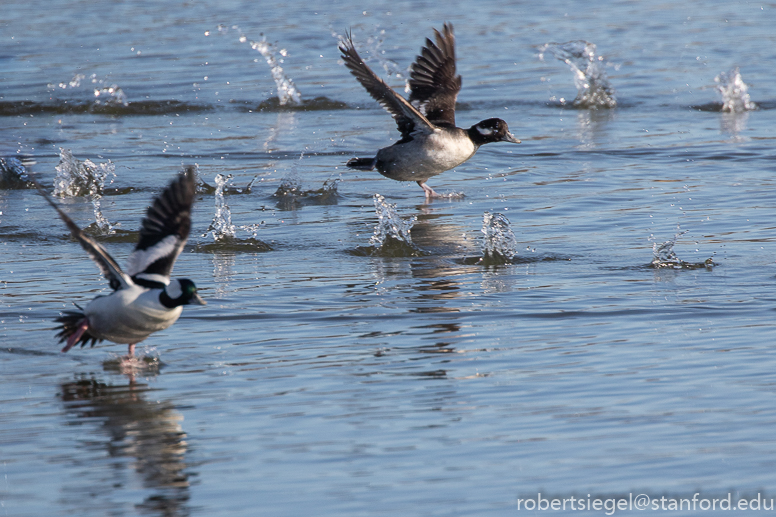 shoreline park